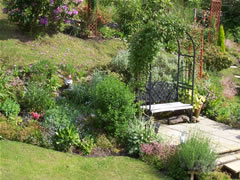 garden at Hillview Guest House